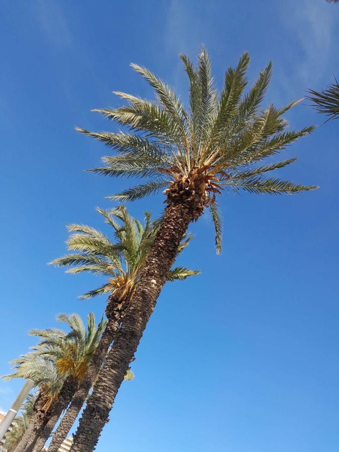 托雷维耶哈Stylowy Apartament Harmonia Playa Del Cura, Hiszpania公寓 外观 照片