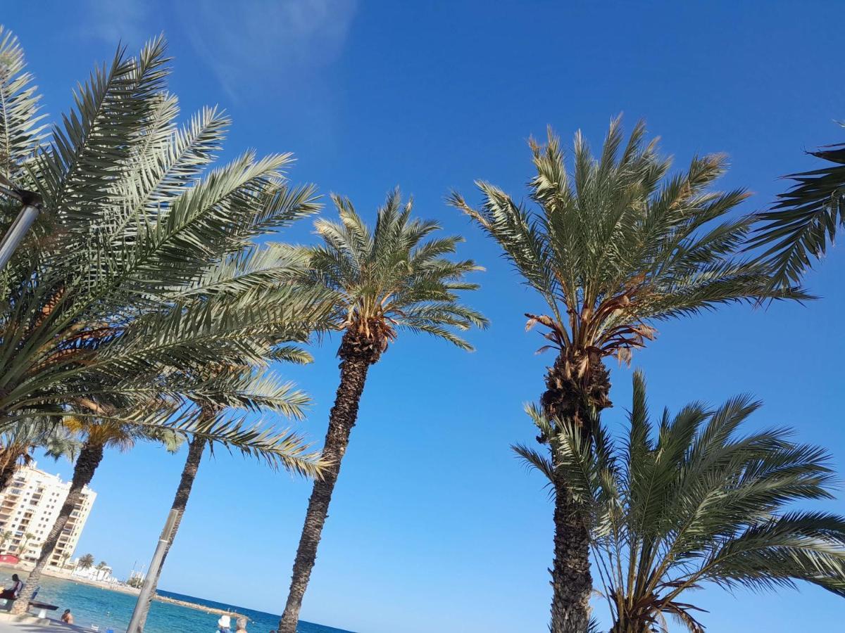 托雷维耶哈Stylowy Apartament Harmonia Playa Del Cura, Hiszpania公寓 外观 照片