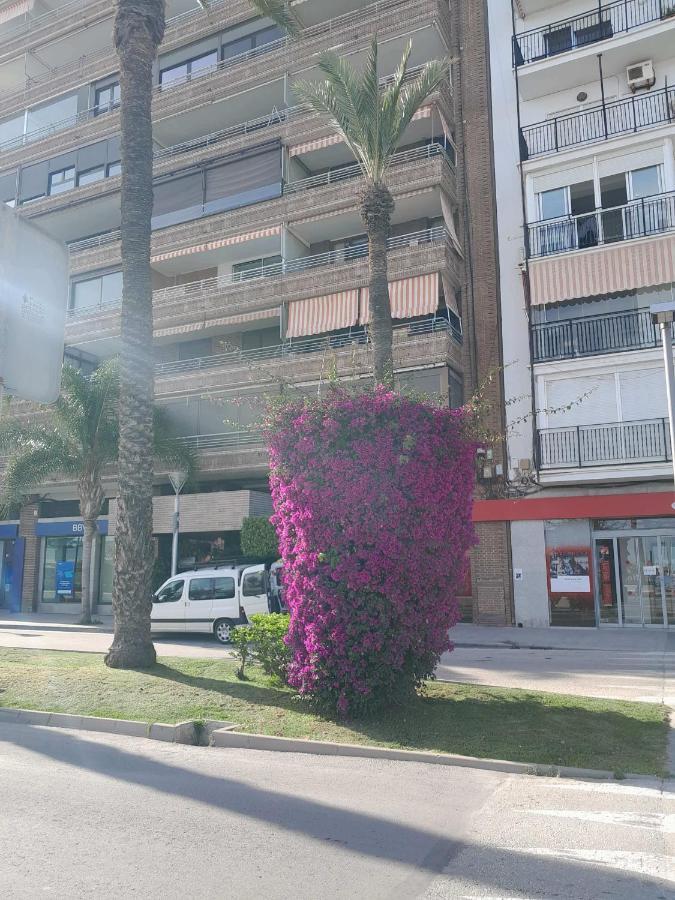 托雷维耶哈Stylowy Apartament Harmonia Playa Del Cura, Hiszpania公寓 外观 照片